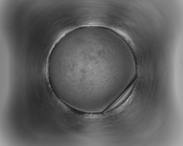 X0000093401374200710190915