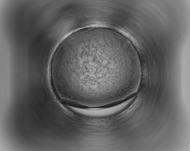 X0000093401375200710190915