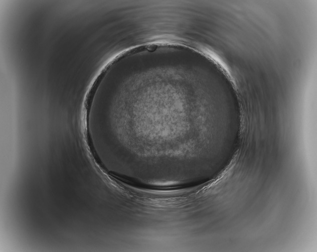 X0000093401376200710190915