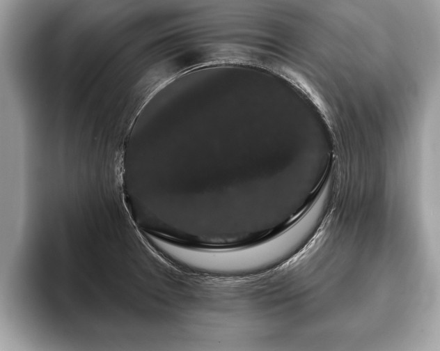 X0000093401377200710190915