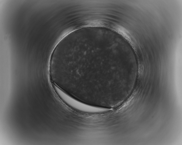 X0000093401378200710190915