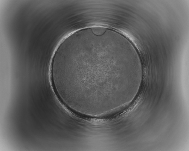 X0000093401379200710190915