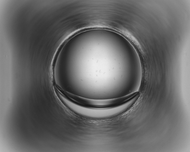 X0000093401380200710190915