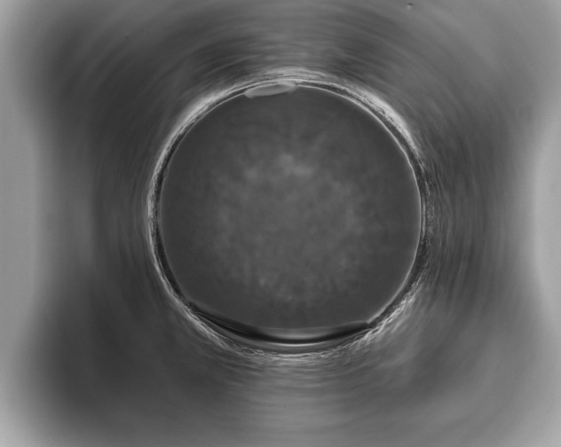 X0000093401381200710190915