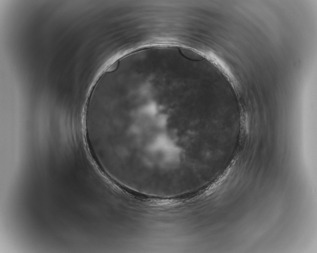 X0000093401382200710190915