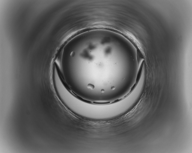 X0000093401384200710190915