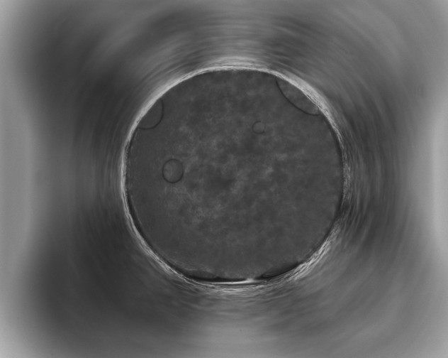 X0000093401390200710190915