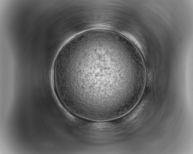 X0000093401391200710190915