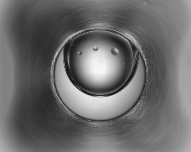 X0000093401392200710190915