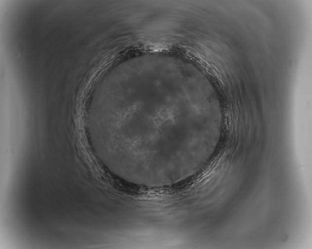 X0000093401393200710190914