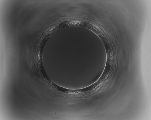 X0000093401394200710190914