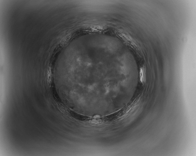 X0000093401395200710190914