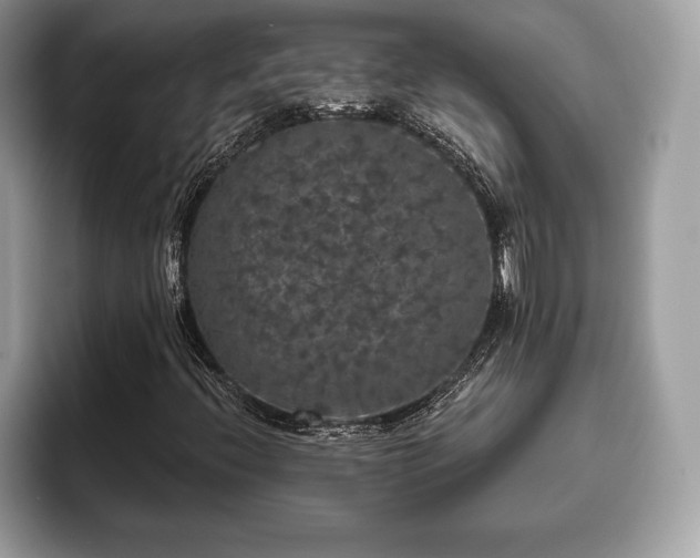 X0000093401396200710190914