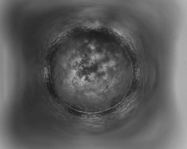 X0000093401397200710190914