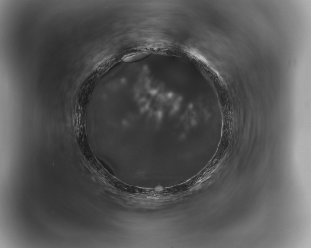 X0000093401399200710190914