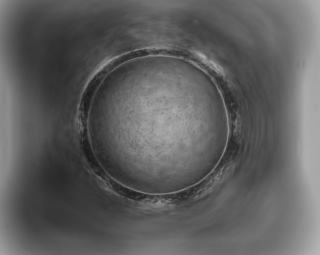 X0000093401400200710190914