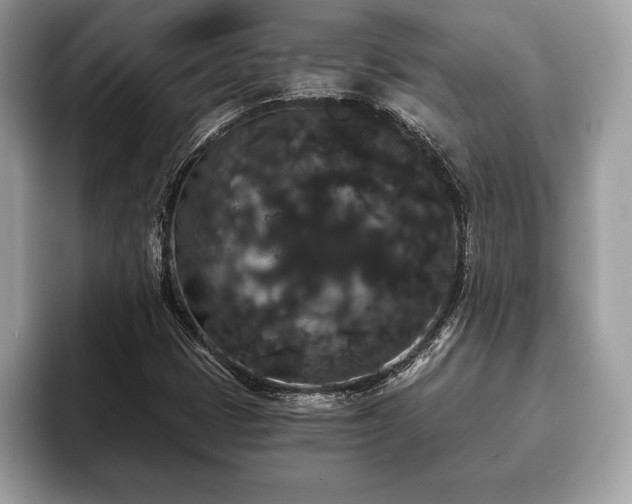 X0000093401401200710190914