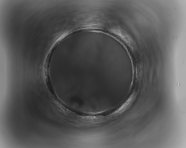 X0000093401405200710190914