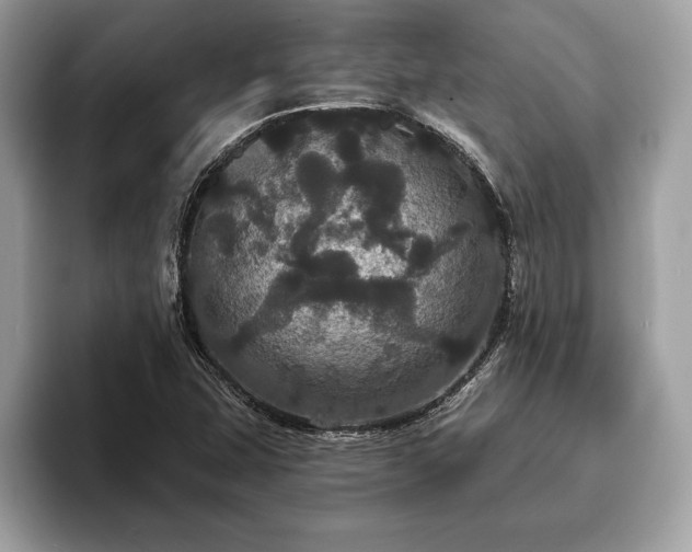 X0000093401407200710190914