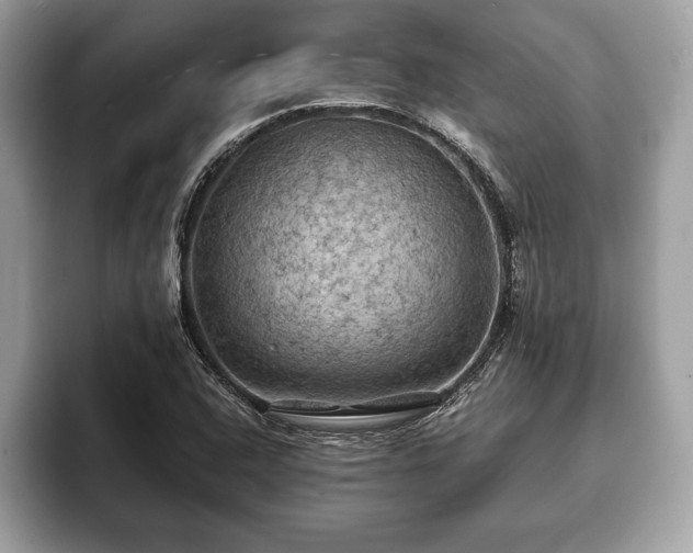 X0000093401408200710190914