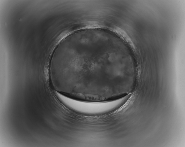 X0000093401409200710190914