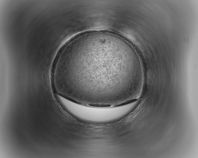 X0000093401412200710190915