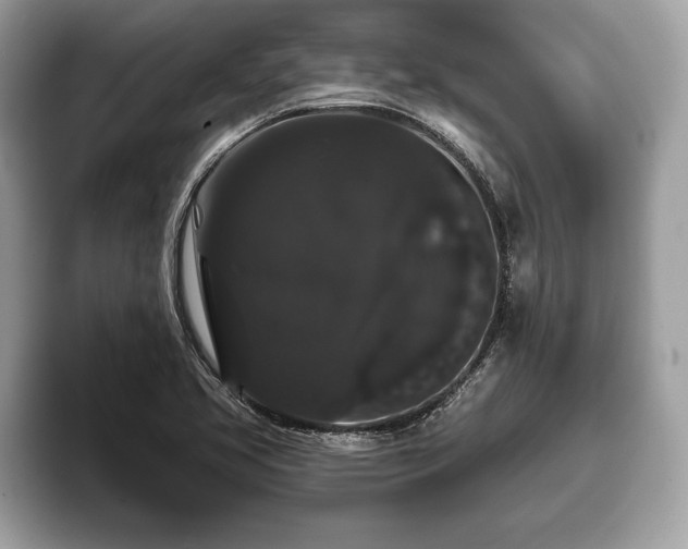 X0000093401413200710190915