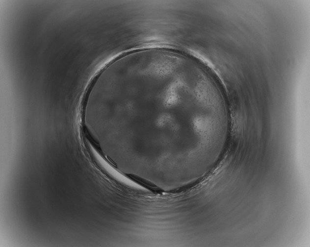 X0000093401415200710190915