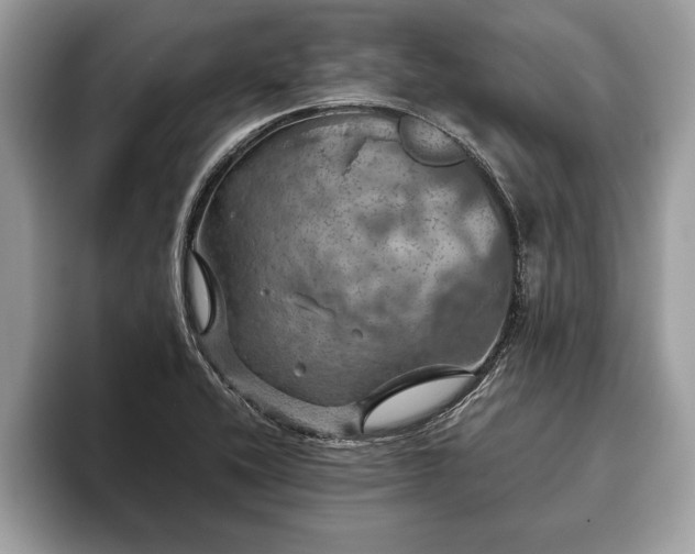 X0000093401416200710190915