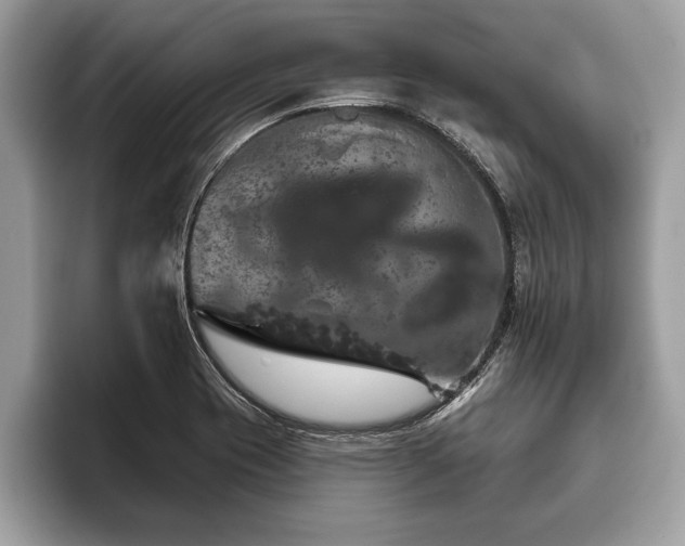 X0000093401417200710190915