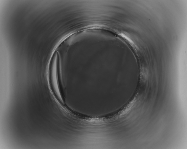 X0000093401418200710190915