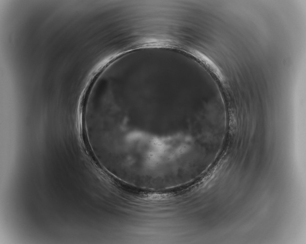 X0000093401419200710190915