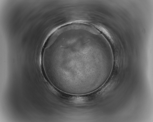X0000093401420200710190915