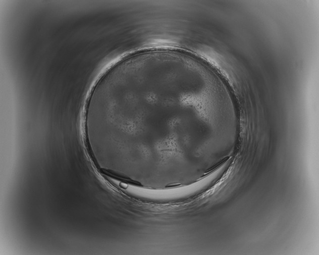 X0000093401421200710190915