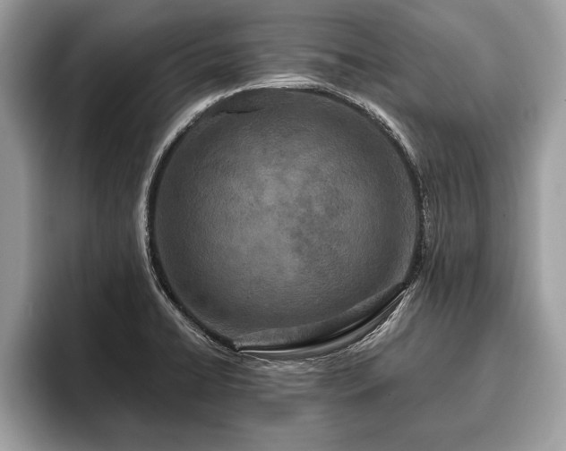 X0000093401422200710190915