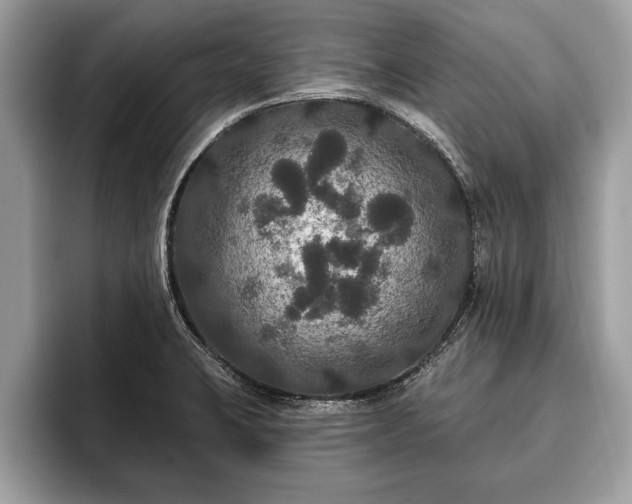 X0000093401423200710190915