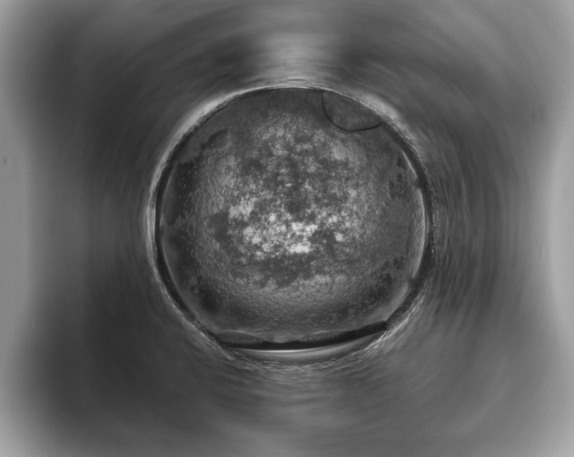 X0000093401424200710190915