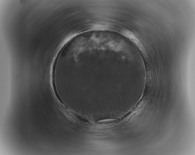 X0000093401427200710190915