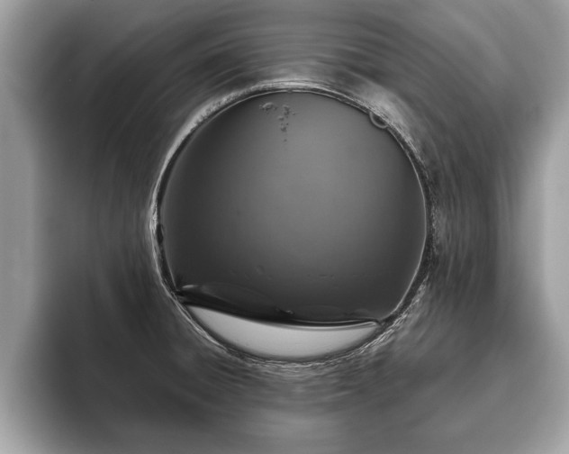 X0000093401428200710190915