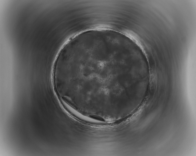 X0000093401429200710190915