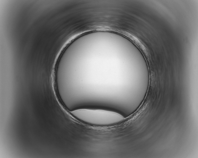 X0000093401432200710190915