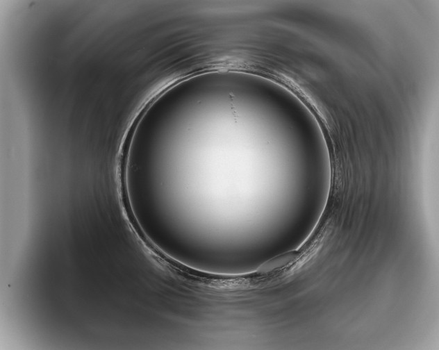 X0000093401434200710190915