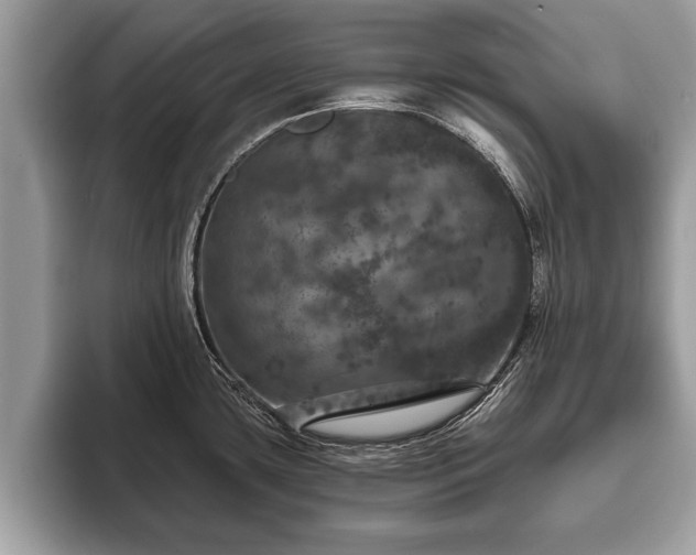 X0000093401435200710190915