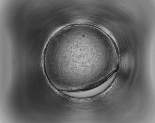X0000093401437200710190915