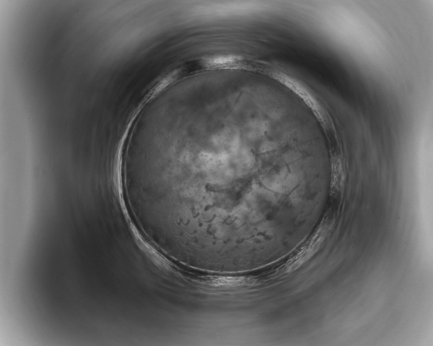 X0000093401439200710190915