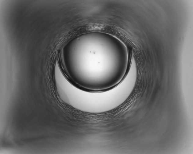 X0000093401441200710190914