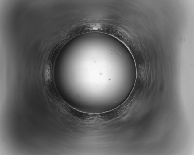 X0000093401442200710190914