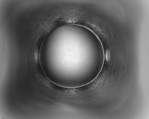 X0000093401444200710190914