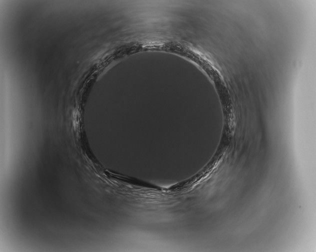 X0000093401445200710190914