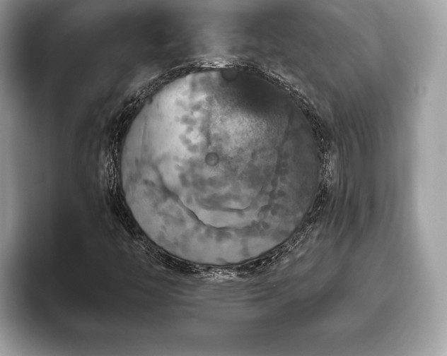 X0000093401446200710190914